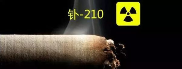 放射性物質“α”“釙”表面污染探測器